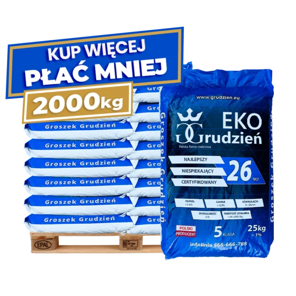 2 x Groszek Eko Grudzień 26 MJ