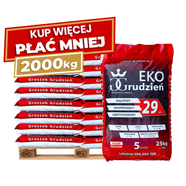 2 x Groszek Eko Grudzień 29 MJ