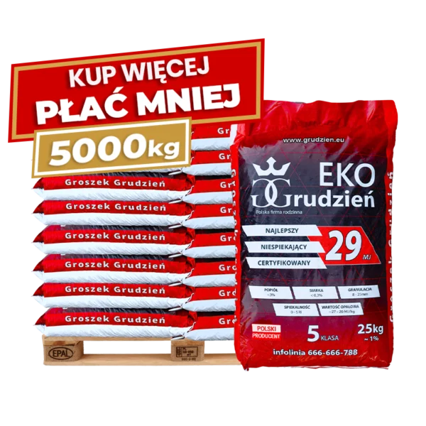 5 x Groszek Eko Grudzień 29 MJ